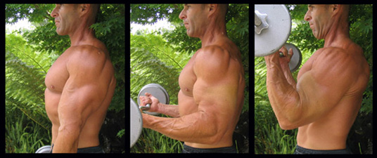 Three-panel photograph of a standing EZ-bar curl.