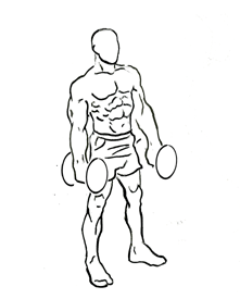 Line-art start position of a barbell curl.