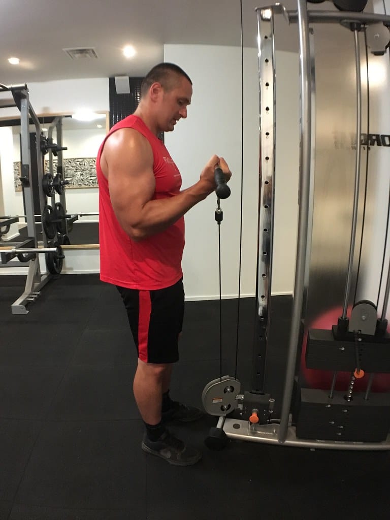 Standing low-pulley cable curl at peak.