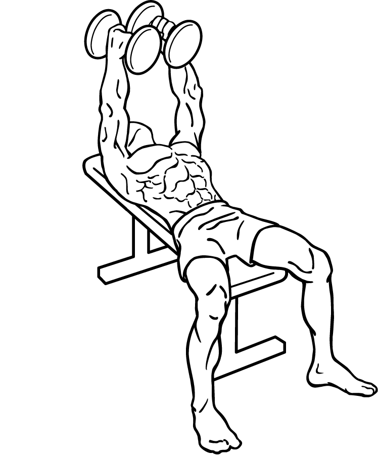 Line-art start position with dumbbells over the chest.