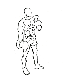 Line-art mid-to-top position of an alternating hammer curl.