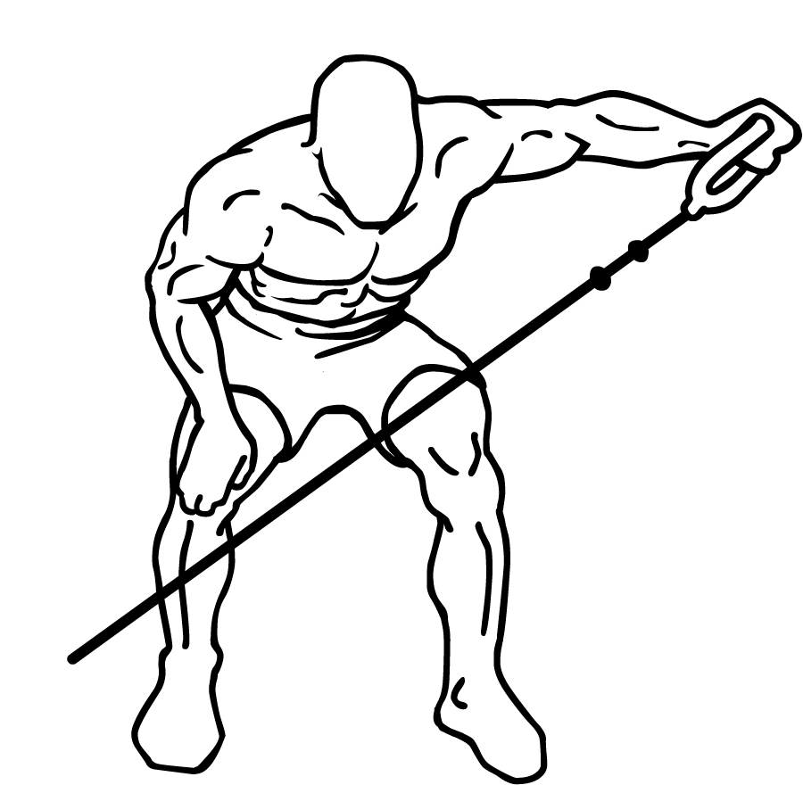 Line-art bent-over reverse fly at peak.