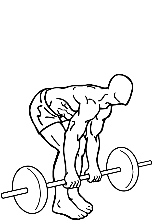Line-art hinged position with the bar below the knees.