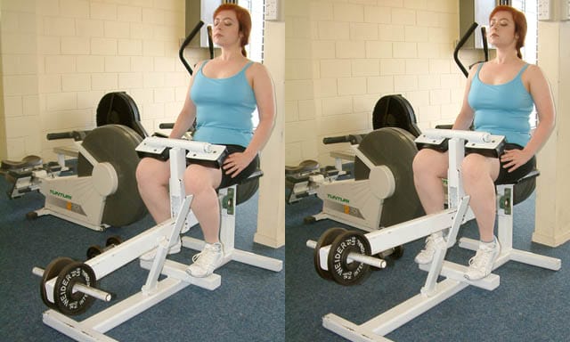 Two-panel seated calf raise, heels down and up.