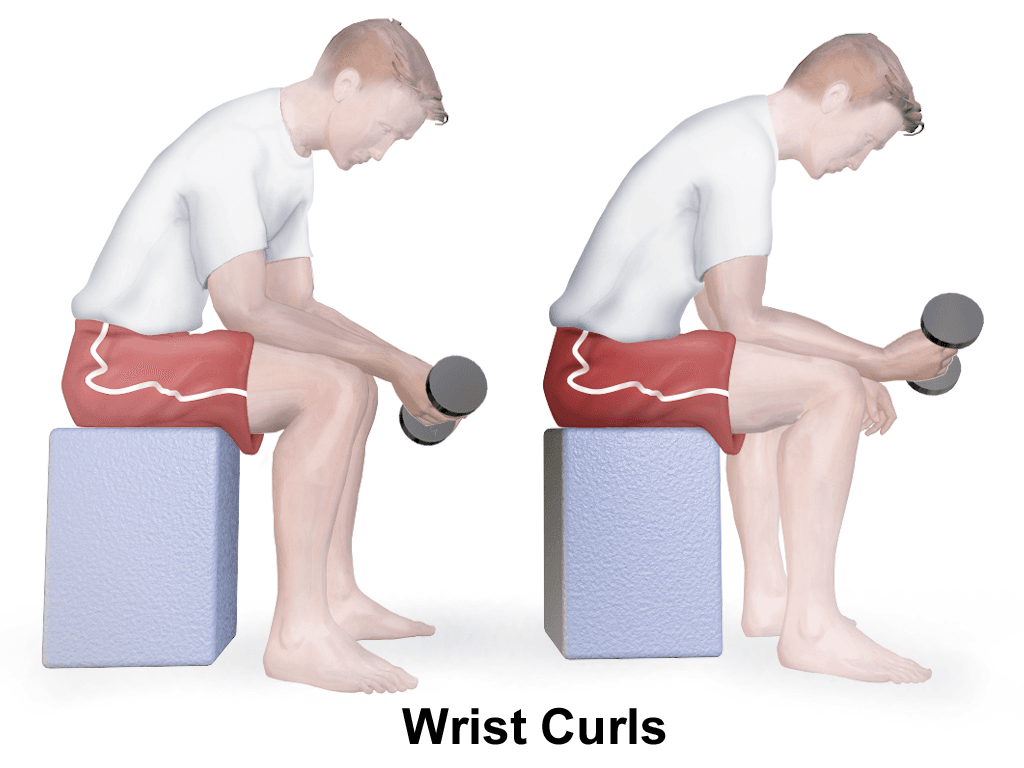 Two-panel seated dumbbell wrist curls.